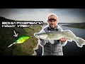 Download Lagu 🎣 Секрети успішної риболовлі. Тренування до Кубку України — ці воблери “розірвали” Дністер!