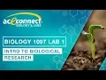 Biology 1097 Lab 1 Intro to Biological Research