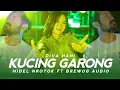Download Lagu DIVA HANI - DJ KUCING GARONG MIDDLE NROTOK X BREWOG AUDIO I Barakat Music