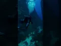 Download Lagu A diver is diving in ocean and searching for funny vlog #divespot #livedive #kneedeep