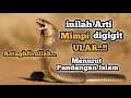 Download Lagu Arti Mimpi Digigit Ular. Menurut Padangan Islam || Cara Mengatasinya MP3