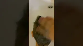 خلودة وصفا عاشو يوم كامل باللون الاخضر والزهري صبغنا شعراتهون    دندنها