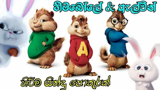  u0026 himabole u0026 alvin sinhala song collection video