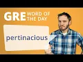 GRE Vocab Word of the Day Pertinacious Manhattan Prep
