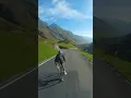 Download Lagu Road Bikes are Beautiful