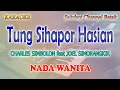 Download Lagu DANG DI IDA MATA ALAI DI IDA ROHA ll KARAOKE BATAK ll TUNG SIHAPUR HASIAN ll NADA WANITA C#=DO