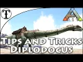 Fast Diplodocus Taming Guide Ark Survival Evolved Tips and Tricks