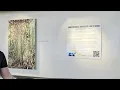 YAM exhibition at Billings Logan International Airport