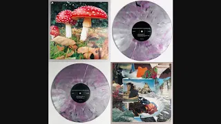 Download Colored Mushroom And The Medecine Rocks - Childlike Happiness MP3
