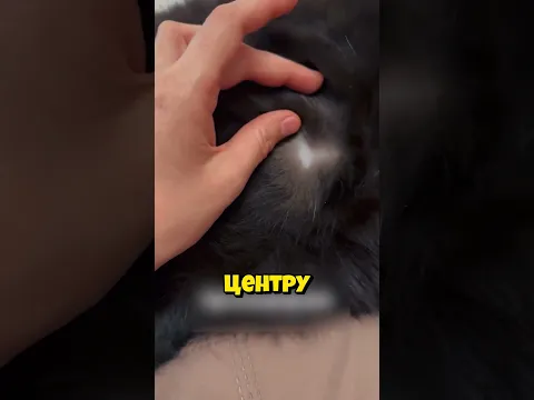 Удивительная анатомия!