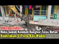 Download Lagu Alhamdulillah Beko Sudah Kembali Membongkar Teras Beton Kontrakan 6 Pintu Kali Wadas