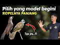 Download Lagu 5 Tips Jitu Memilih Trucukan yang bisa Ropel Panjang‼️