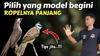 5 tips jitu memilih trucukan yang bisa ropel panjang 