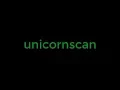 Unicornscan Kali Linux Reconnaissance Phase