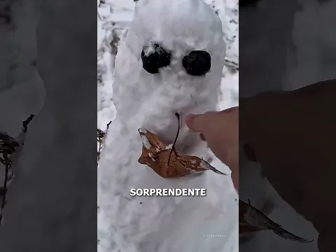 MUĆECO de NIEVE