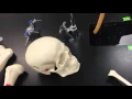 Lab Exam I Answers Part 1