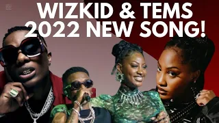 tems u0026 wizkid re ignite friendship again can fans have a 2022 collabo ep