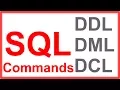 SQL Tutorial - Command Types DDL DML DCL