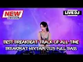 Download Lagu BEST BREAKBEAT TRACK OF ALL TIME - BREAKBEAT MIXTAPE 2025 FULL BASS