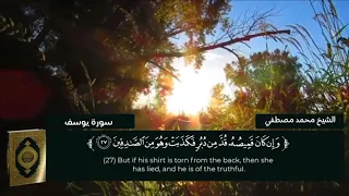 الشيخ محمد البنزارى تلاوة رائعة لسورة يوسف كاملة 