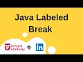How to break out of a nested loop in Java Labeled Break