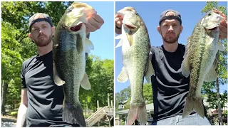 The topwater bite is great right now at Lake Norman Post spawn is the best time for topwater