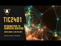 TIC2401 Introduction to Computer Systems Zoom Lesson 4 2nd Feb 2021