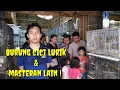 Lagu Burung cici lurik \u0026 masteran lain! 