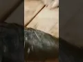 Download Lagu https://youtube.com/shorts/LhvoFs8ohr8?si=1lqMi0prEggW68s9