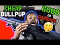 Panzer Arms EGX500 Review