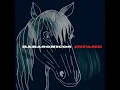 Irresponsables - Babasónicos