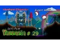 Terraria Ranger Emblem GOT 29