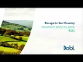 Dabl Network Programming Transition