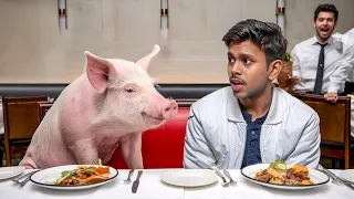 I tested pet friendly restaurants