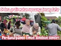 Download Lagu BERBURU JENANG GRATIS DAN MAKAN SEPUASNYA || PEDANA PANEN TIMUN DIKEBUN SAYUR KITA