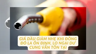 Giá dầu giảm nhẹ khi đồng đô la ổn định, lo ngại dư cung vẫn tồn tại | 11/11/2025