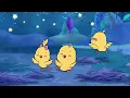 Get ready for restful sleep! | Lullaby songs | Sleep Little Baby / Duérmete Pollito