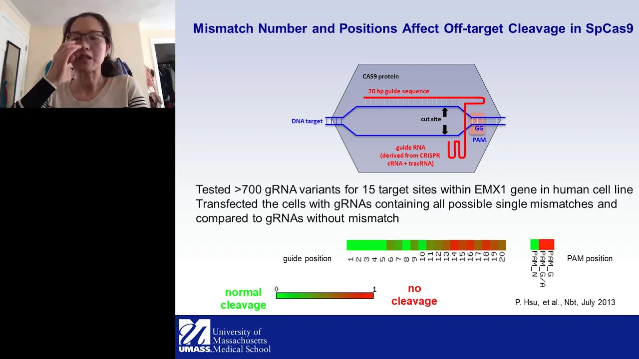 CRISPRseek and GUIDEseq for Design of Target-Specific Guide RNAs in CRISPR-Cas9