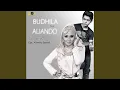 Download Lagu Suara Hati (feat. Aliando)