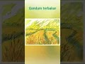 Download Lagu Simson melawan orang Filistin | Hakim - Hakim 15