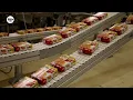Download Lagu Hallum zoekt oplossing voor vol elektriciteitsnet: “It komt foar dat in bedriuw ovens útdwaan moat”