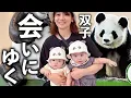 Download Lagu 双子の赤ちゃん、はじめてのテーマパークでパンダと対面！【生後６ヶ月】