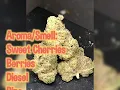 Cherry Jerry AKA Cherry Garcia H Strain Review-Budpedia