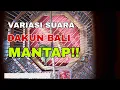 Download Lagu variasi suara pleci dakun bali