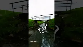 ماخذ قلبي وشاغل بالي 