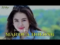 Download Lagu MARDUAHOLONG )🌴( PARTY)  FULL BASS  -REMIX TERBARU 2025