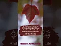 Download Lagu Beautiful voice Quran recitation by Salem Al-Ruwaili #viral #quotes #quran #salemalruwaili