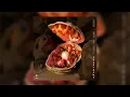 Chris Lake, Aluna - Beggin' (Sped Up)