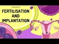 EASY TO UNDERSTAND Fertilisation and implantation
