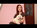 Download Lagu Pets Magazine August/September 2016 cover shoot with Tong Bing Yu and Da Bai Cai
